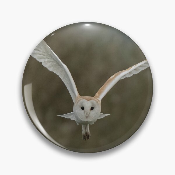 Item preview, Beautiful Barn owl 2 designed and sold by JoHackman.