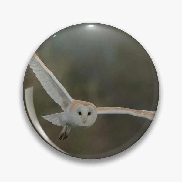 Item preview, Beautiful Barn Owl 3 designed and sold by JoHackman.