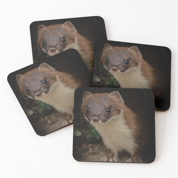 Item preview, Stunning Stoat. designed and sold by JoHackman.