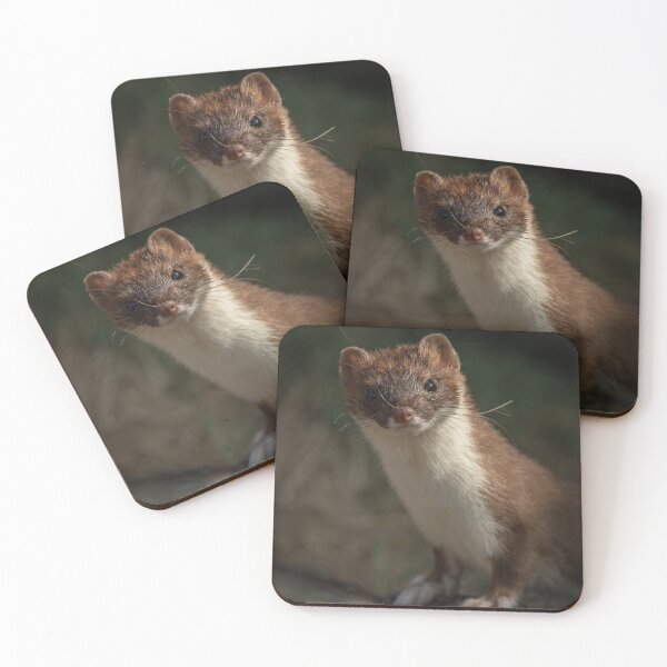Item preview, Stunning Stoat 2 designed and sold by JoHackman.