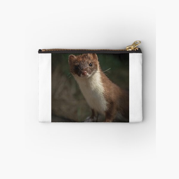 Item preview, Stunning Stoat 2 designed and sold by JoHackman.