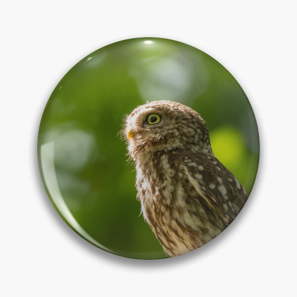 Item preview, Little owl and the fly.  designed and sold by JoHackman.