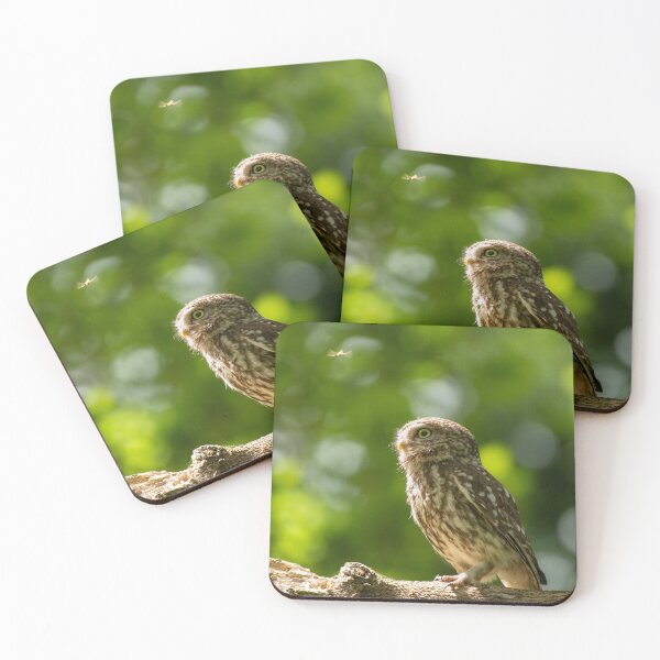 Item preview, Little owl and the fly.  designed and sold by JoHackman.