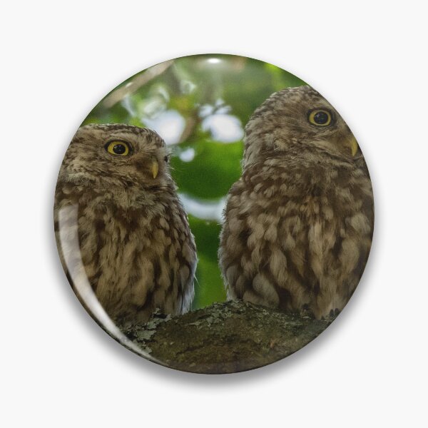Item preview, Little owl pair.  designed and sold by JoHackman.