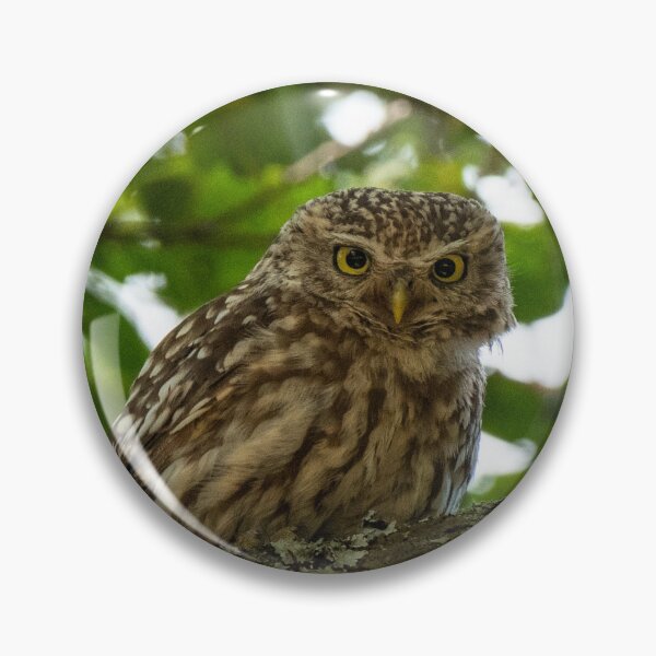 Item preview, Grumpy eyes.  designed and sold by JoHackman.