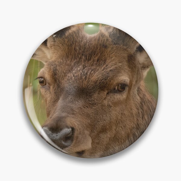 Item preview, Stag eyes. designed and sold by JoHackman.