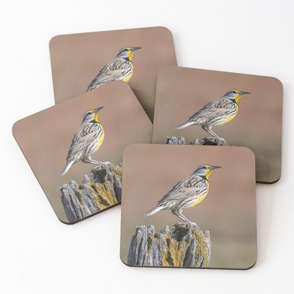 Item preview, Eastern Meadowlark in the early morning designed and sold by James Cumming.