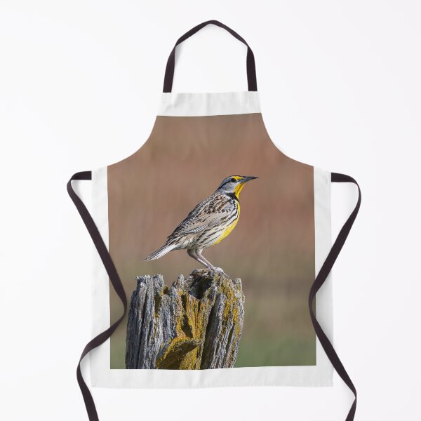 Item preview, Eastern Meadowlark in the early morning designed and sold by James Cumming.