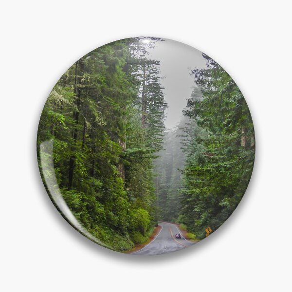 Item preview, Driving the Redwoods designed and sold by Bryan Spellman.