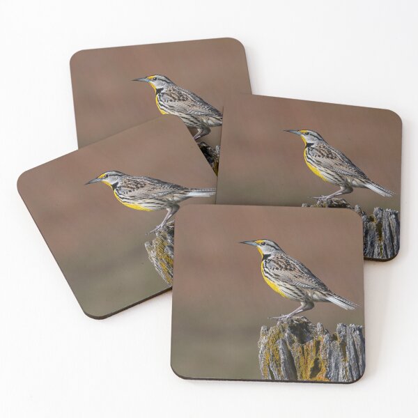Item preview, Eastern Meadowlark in the early morning designed and sold by James Cumming.