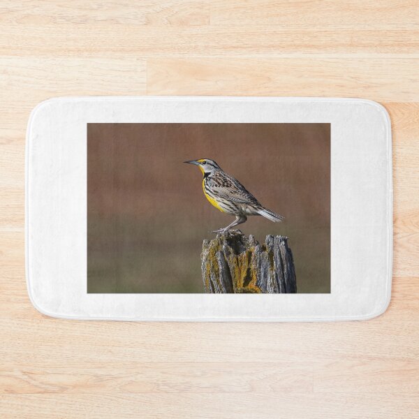 Item preview, Eastern Meadowlark in the early morning designed and sold by James Cumming.