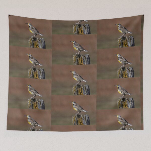 Item preview, Eastern Meadowlark in the early morning designed and sold by James Cumming.