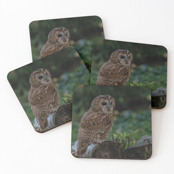 Item preview, Tawny Owl.  designed and sold by JoHackman.