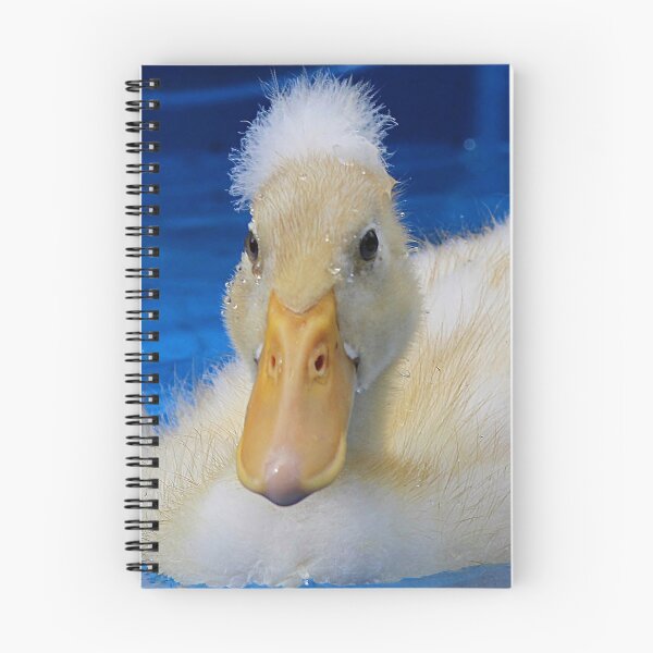 Item preview, Duckling Pool Time designed and sold by Linda Crockett.