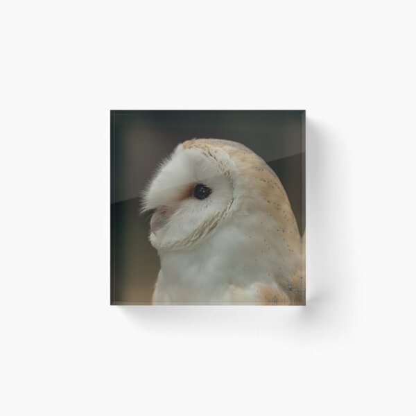 Item preview, Barn Owl Portrait.  designed and sold by JoHackman.
