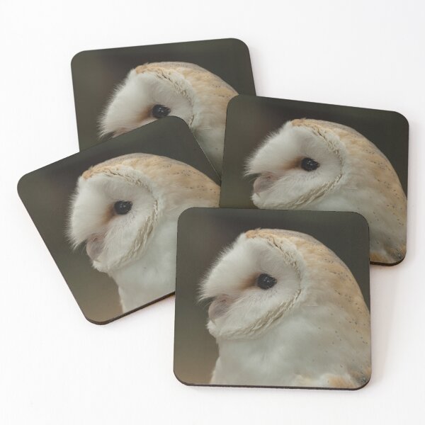 Item preview, Barn Owl Portrait.  designed and sold by JoHackman.