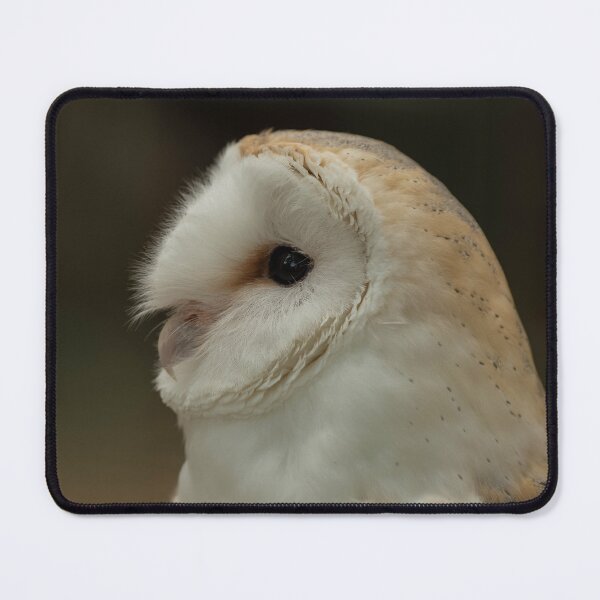 Item preview, Barn Owl Portrait. designed and sold by JoHackman.