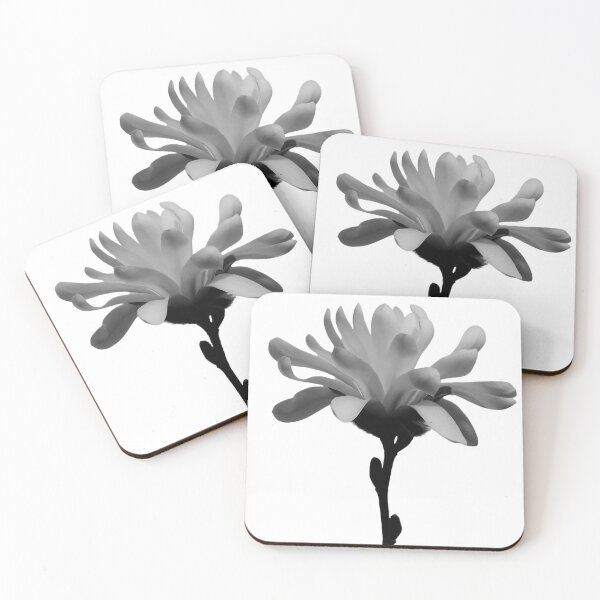 Item preview, Monochrome Magnolia Blossom designed and sold by Louise-Mae.