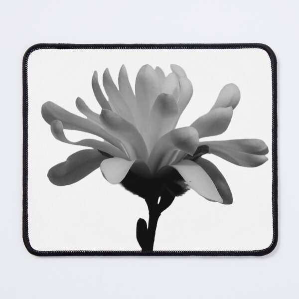 Item preview, Monochrome Magnolia Blossom designed and sold by Louise-Mae.