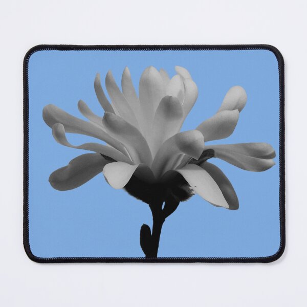 Item preview, Monochrome Magnolia Blossom - blue background designed and sold by Louise-Mae.