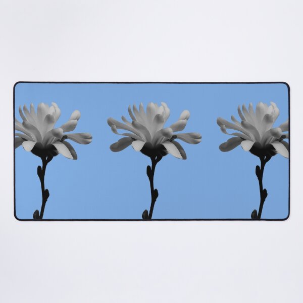 Item preview, Monochrome Magnolia Blossom - blue background designed and sold by Louise-Mae.