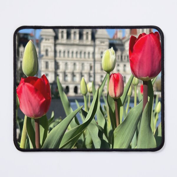 Item preview, Capitol Tulips designed and sold by Stephanie Fay.