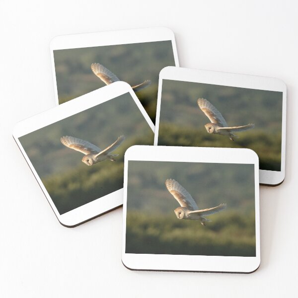 Item preview, Barn owl in beautiful light.  designed and sold by JoHackman.