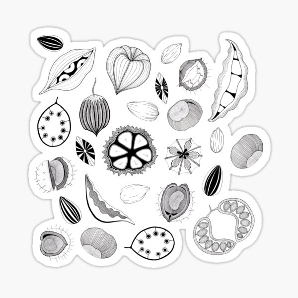 Item preview, LifeSeeds (large print) designed and sold by MrsTreefrog.