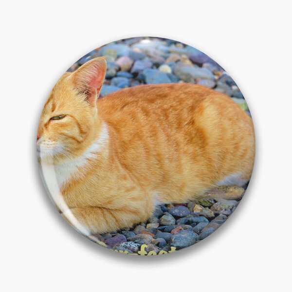 Item preview, A cat's life designed and sold by likbatonboot.