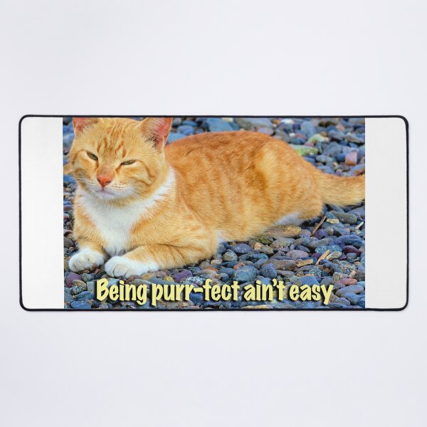 Item preview, A cat's life designed and sold by likbatonboot.