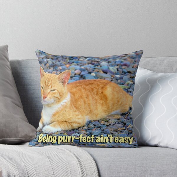 Item preview, A cat's life designed and sold by likbatonboot.