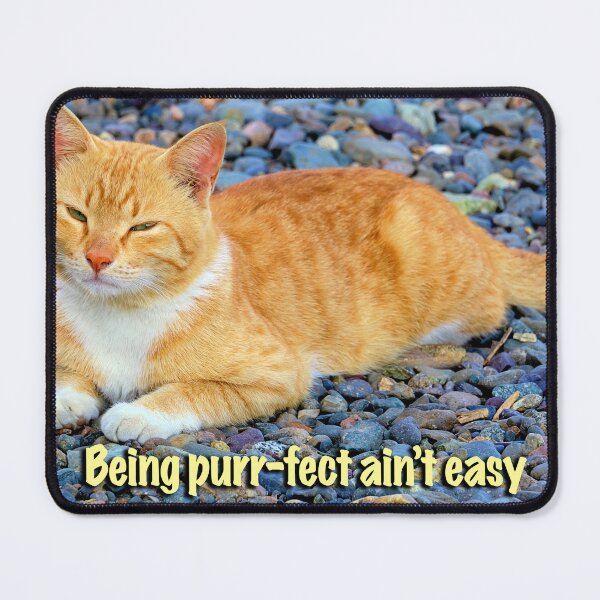 Item preview, A cat's life designed and sold by likbatonboot.