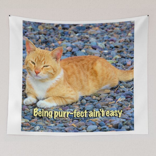 Item preview, A cat's life designed and sold by likbatonboot.