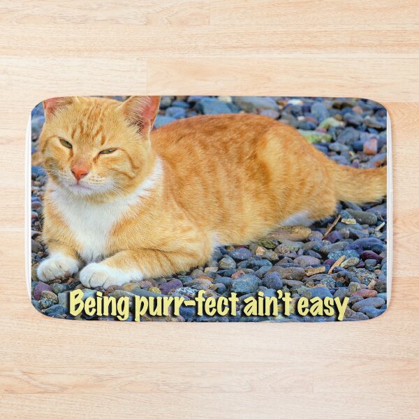 Item preview, A cat's life designed and sold by likbatonboot.