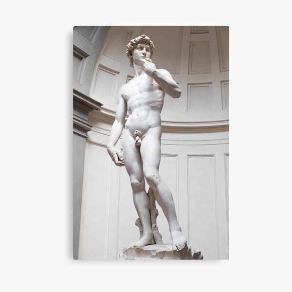 Item preview, The David statue by Michelangelo Buonarroti. The masterpiece of the Renaissance art. designed and sold by Paolo Modena Photography    -   Fine Italian Art.