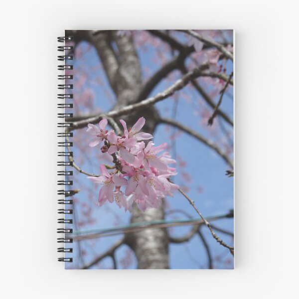 Item preview, delicate pink sakura  designed and sold by cuisinecat2.