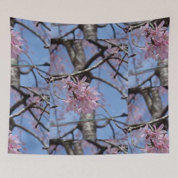 Item preview, delicate pink sakura  designed and sold by cuisinecat2.