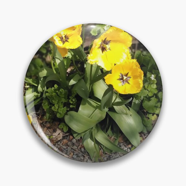 Item preview, Yellow Tulips at Jardin de la Maison Rose designed and sold by JacquiRose23.
