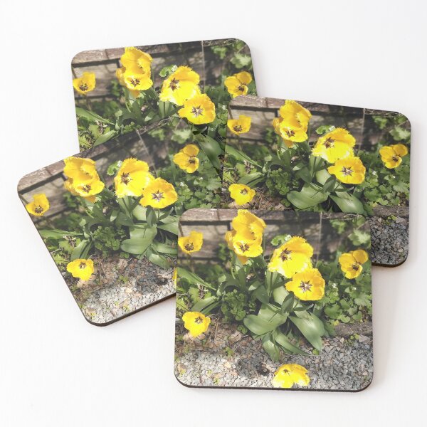 Item preview, Yellow Tulips at Jardin de la Maison Rose designed and sold by JacquiRose23.