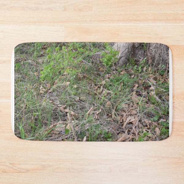 Item preview, Morel Mushroom Patch of 4 Growing in Woodland Grassland Area designed and sold by Anthony Ryan Parrish.