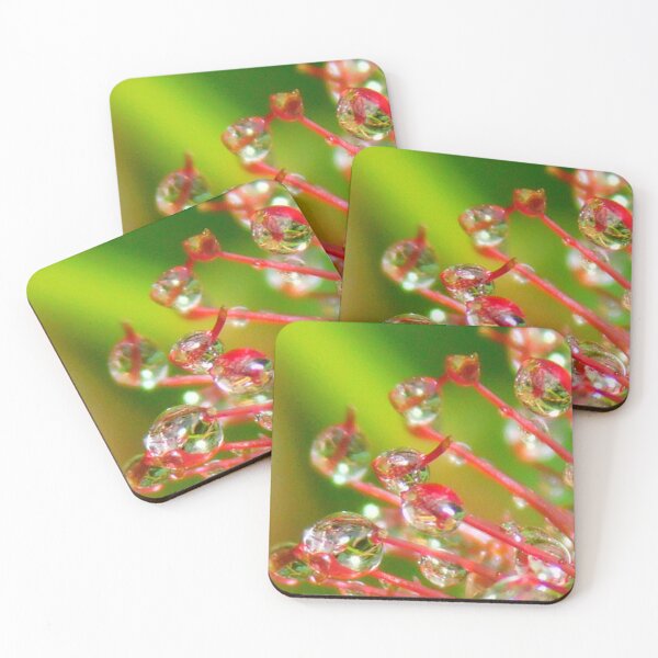 Item preview, Raindrops on nature's canvas designed and sold by Paws and Ink Art.