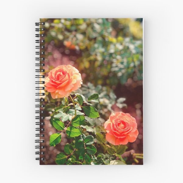 Aperçu de l'œuvre Rose chaude créée et vendue par SarahCohn.