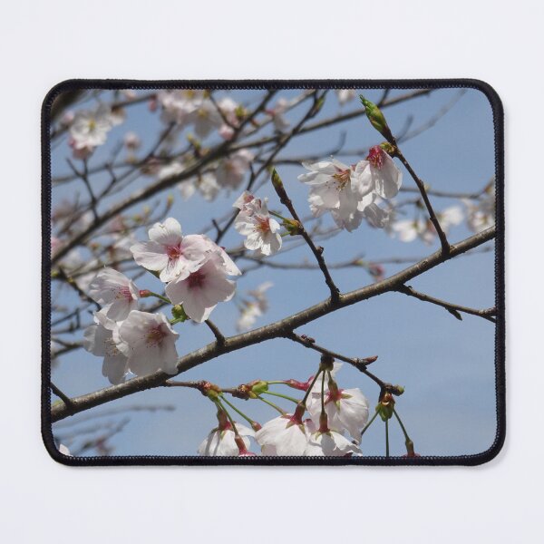 Item preview, pale pink cherry blossom designed and sold by cuisinecat2.