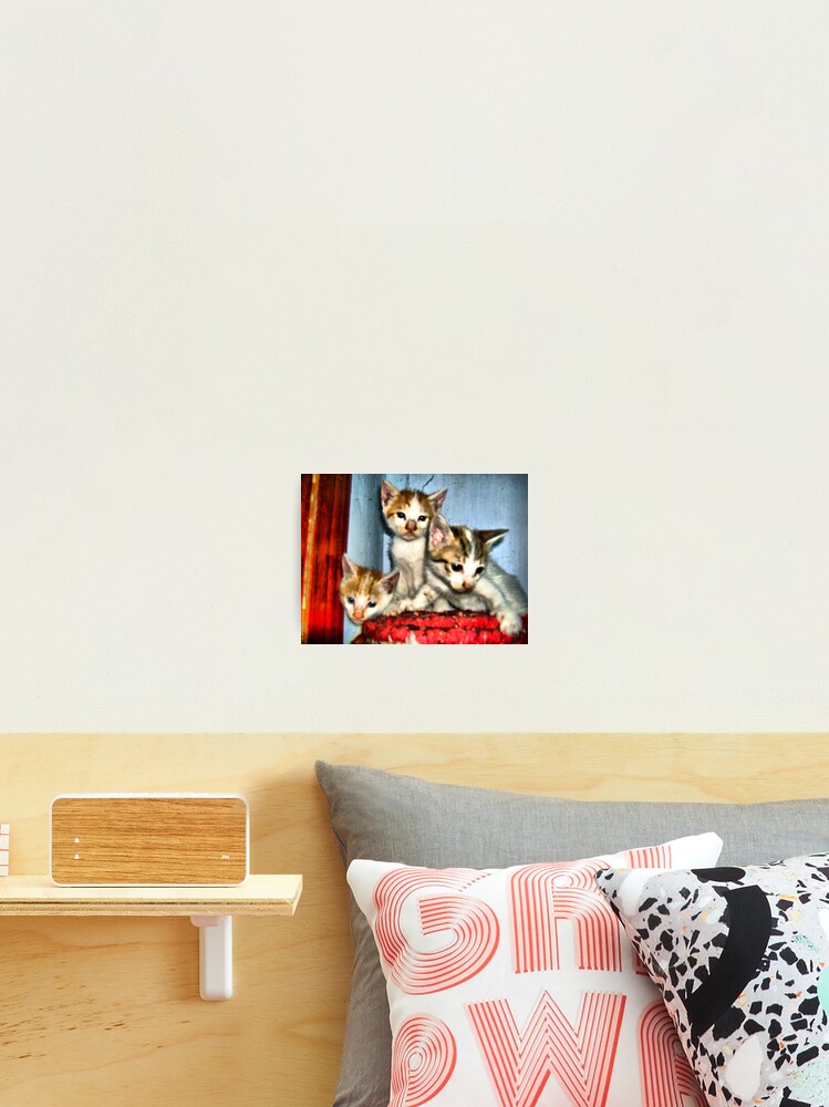 Thumbnail 2 of 3, Photographic Print, Three siblings designed and sold by reactdevelopers.