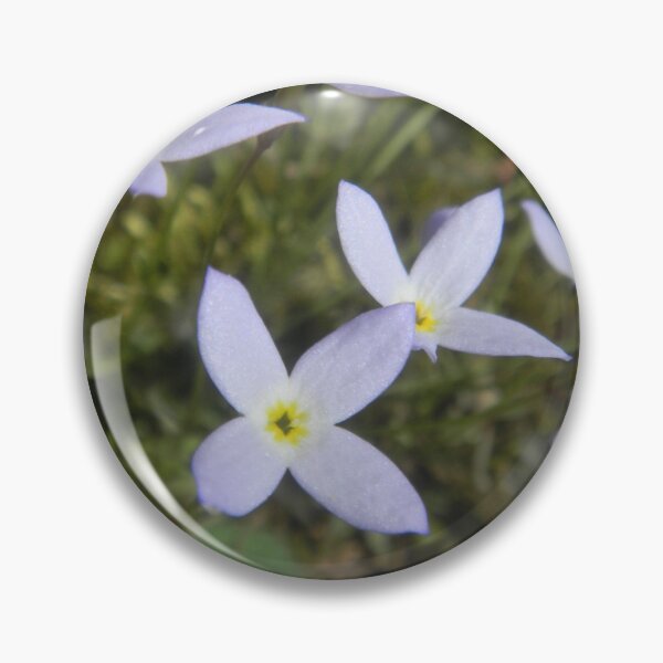 Artikelvorschau, Azurblaue Bluets entworfen und verkauft von BethyBeeHerbs.