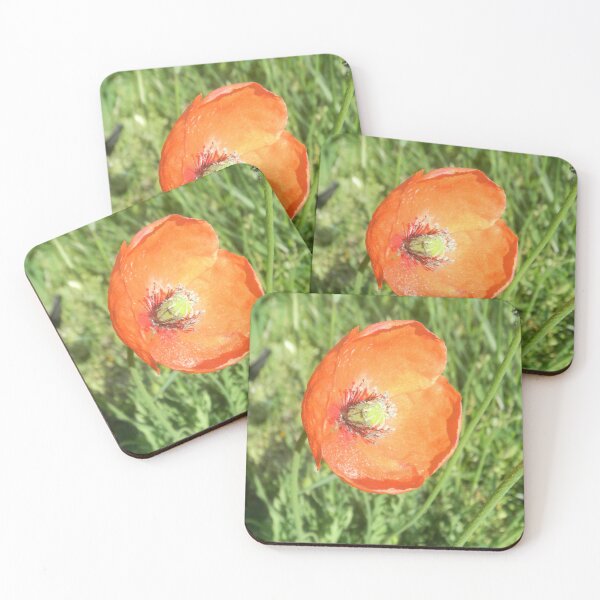 Artikelvorschau, Mohn in der Sonne entworfen und verkauft von BethyBeeHerbs.