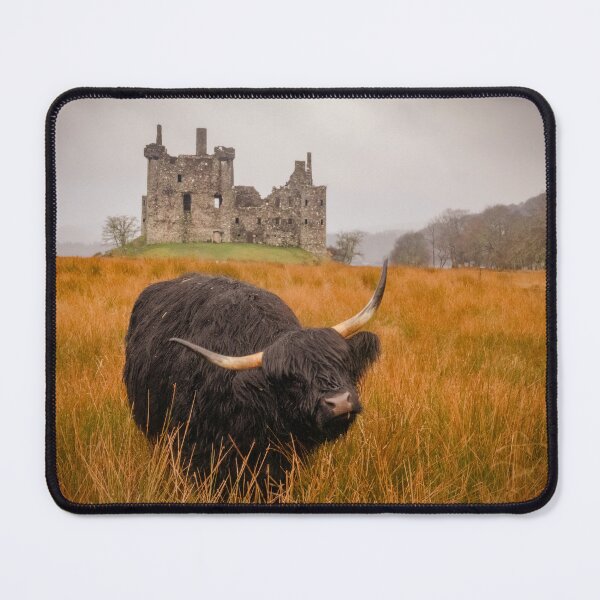 Item preview, Kilchurn Castle being guarded by a highland cow! designed and sold by Hike-and-Click.