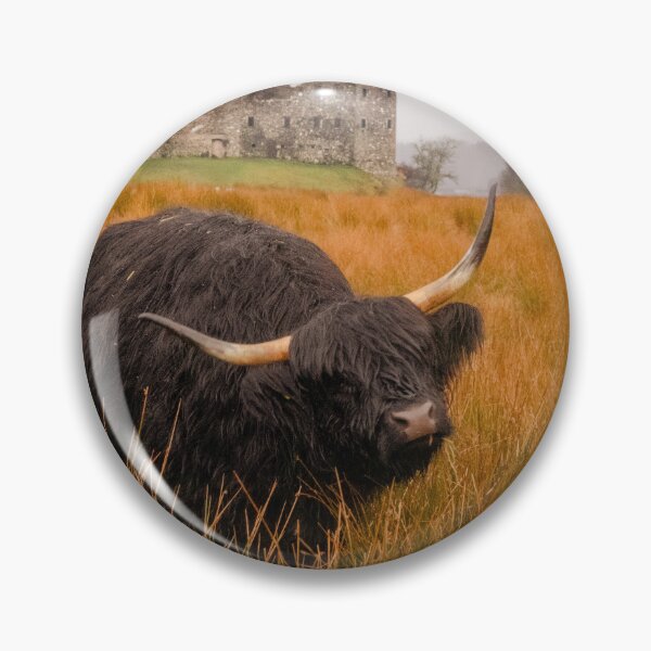 Item preview, Kilchurn Castle being guarded by a highland cow! designed and sold by Hike-and-Click.