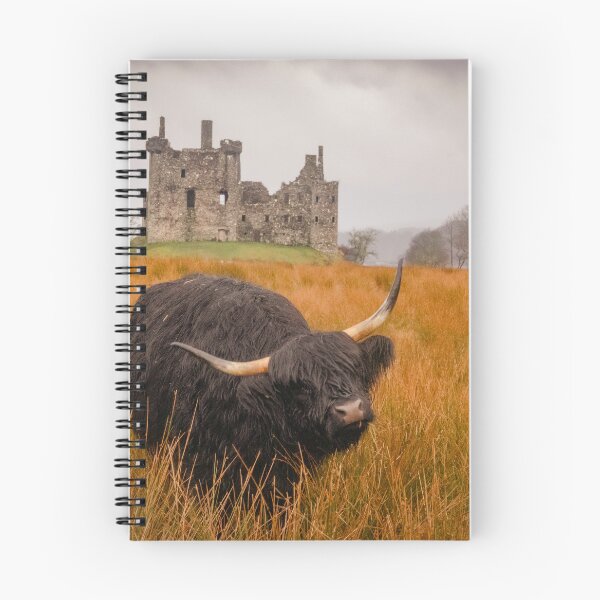 Item preview, Kilchurn Castle being guarded by a highland cow! designed and sold by Hike-and-Click.