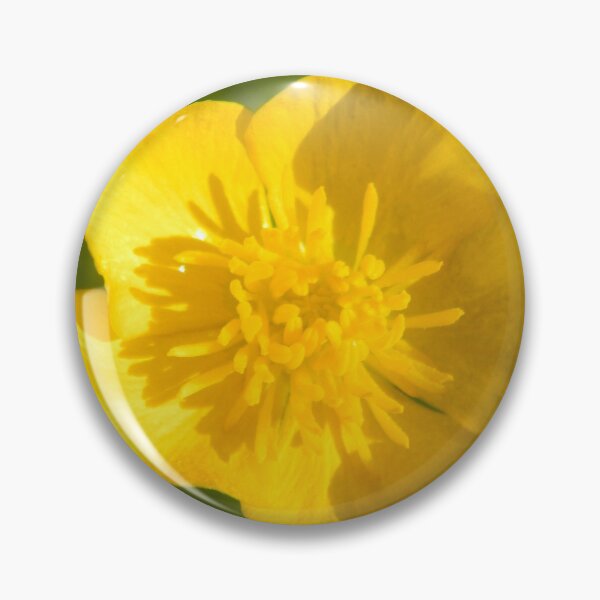 Artikelvorschau, Goldene Butterblume entworfen und verkauft von BethyBeeHerbs.